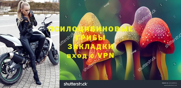 дживик Абинск